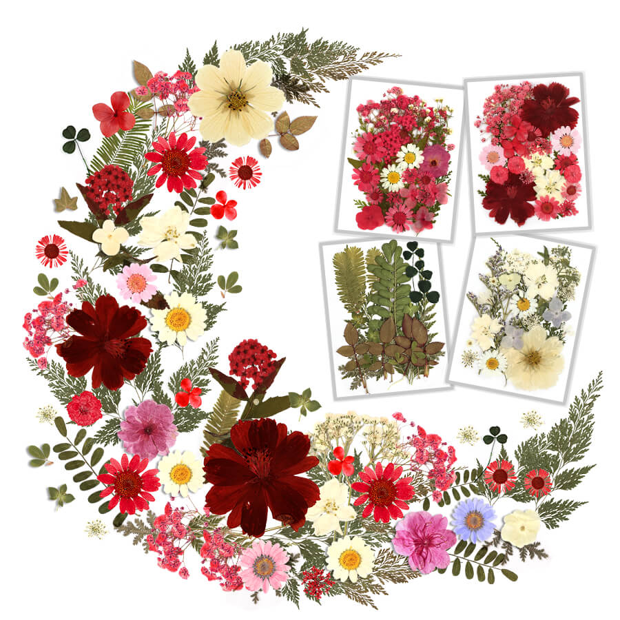 Resiners® 100Pcs Dried Pressed Flowers - Image 6