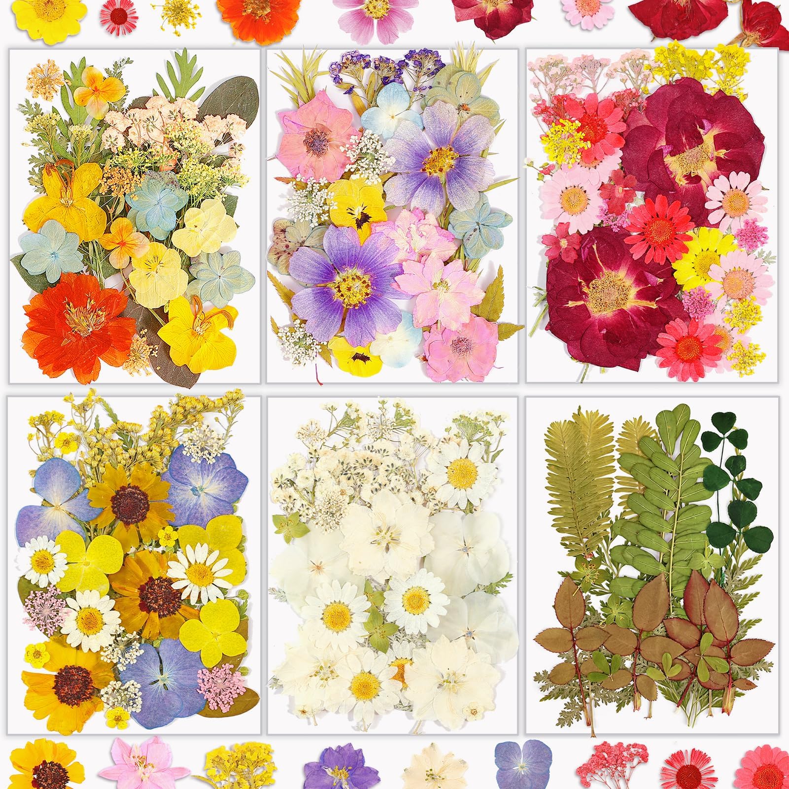 Resiners® 174Pcs Dried Pressed Flowers - Image 2