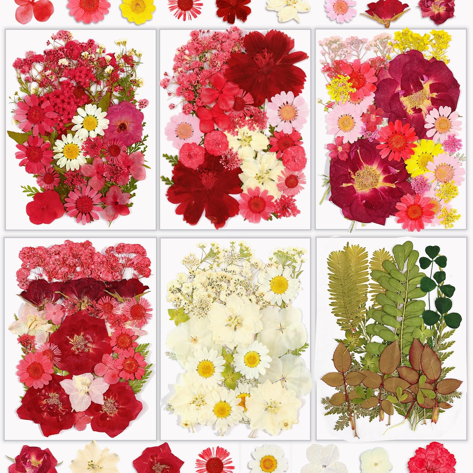 Resiners® 174Pcs Dried Pressed Flowers - Image 3