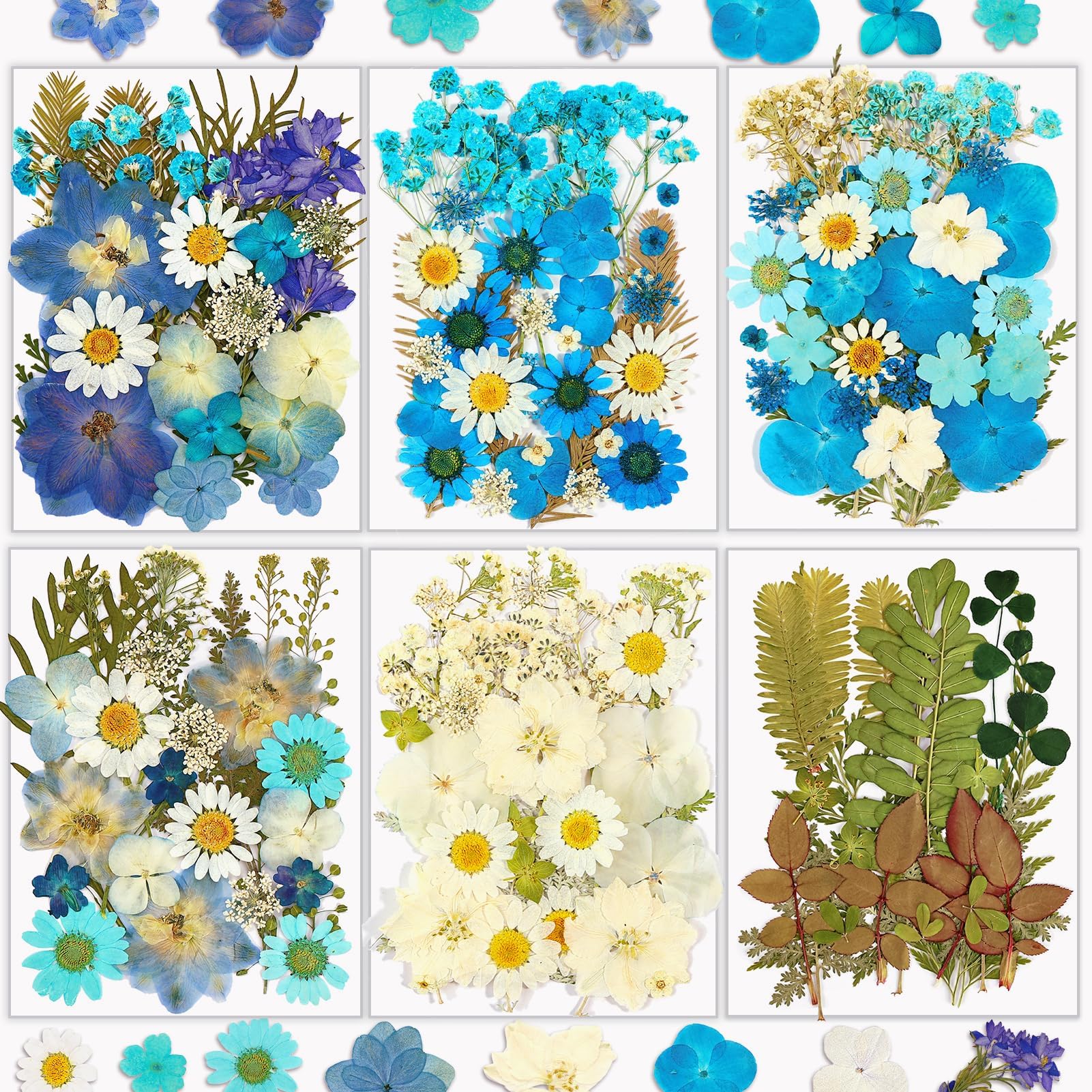 Resiners® 174Pcs Dried Pressed Flowers - Image 4