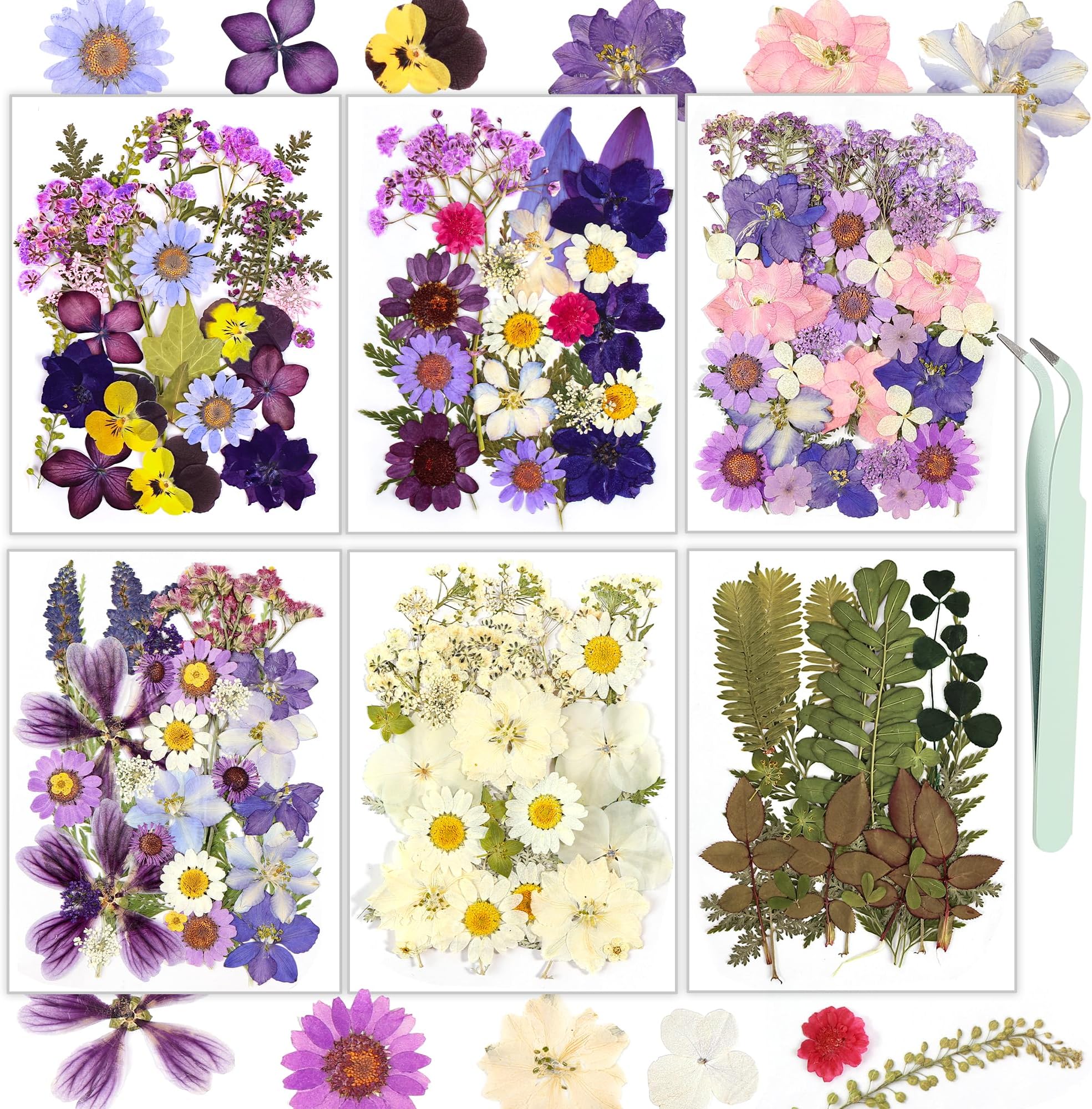 Resiners® 174Pcs Dried Pressed Flowers - Image 5
