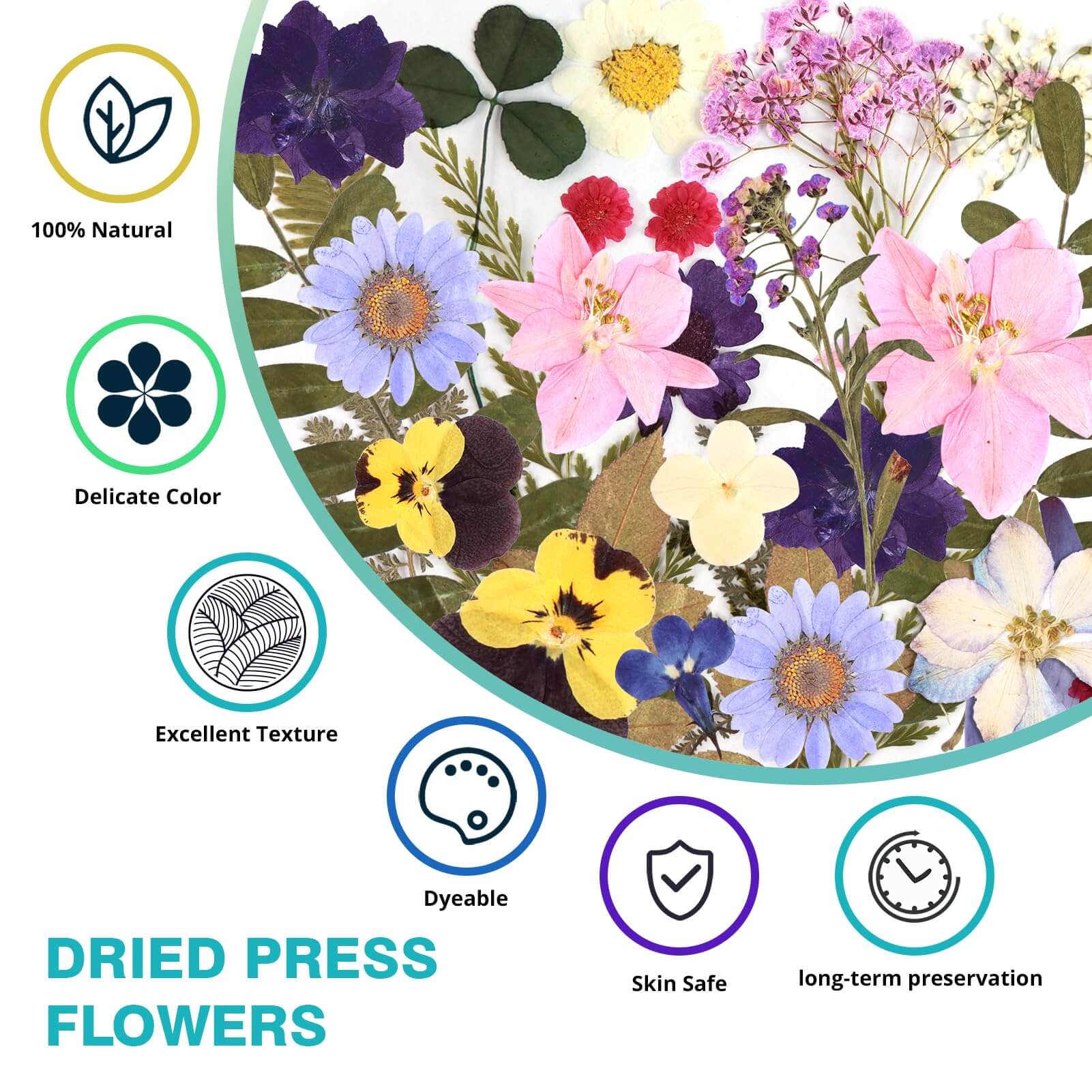 Resiners® 170Pcs Dried Pressed Flowers - Image 3