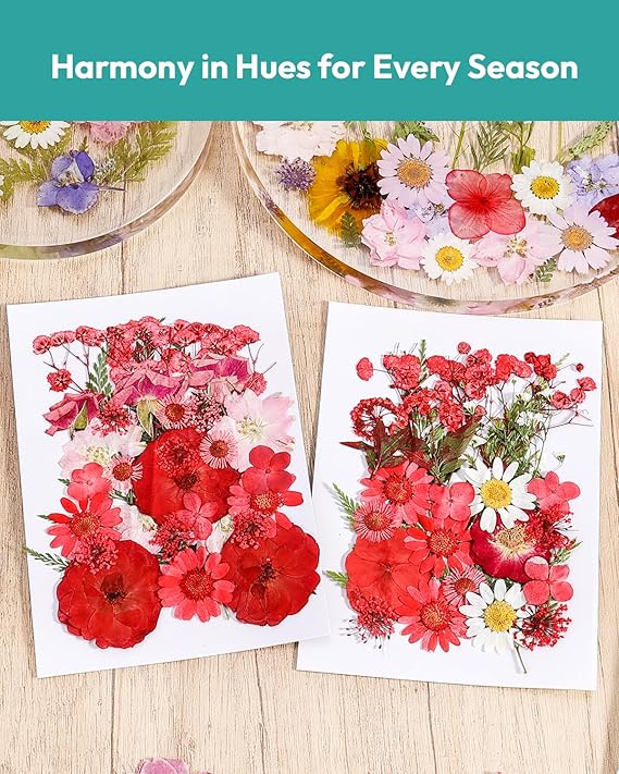 Resiners® 58Pcs Dried Pressed Flowers - Image 4
